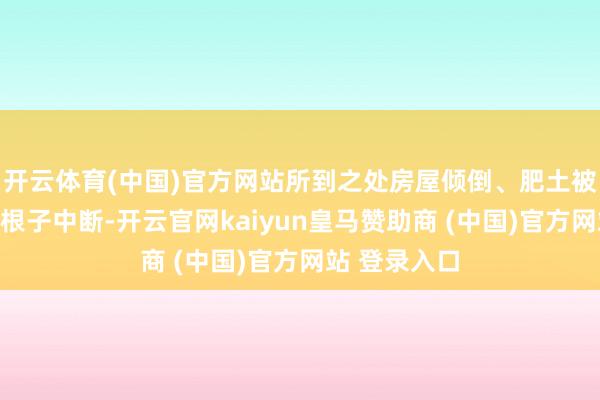 开云体育(中国)官方网站所到之处房屋倾倒、肥土被毁、交通命根子中断-开云官网kaiyun皇马赞助商 (中国)官方网站 登录入口