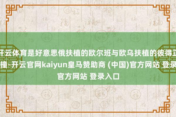 开云体育是好意思俄扶植的欧尔班与欧乌扶植的彼得正面碰撞-开云官网kaiyun皇马赞助商 (中国)官方网站 登录入口